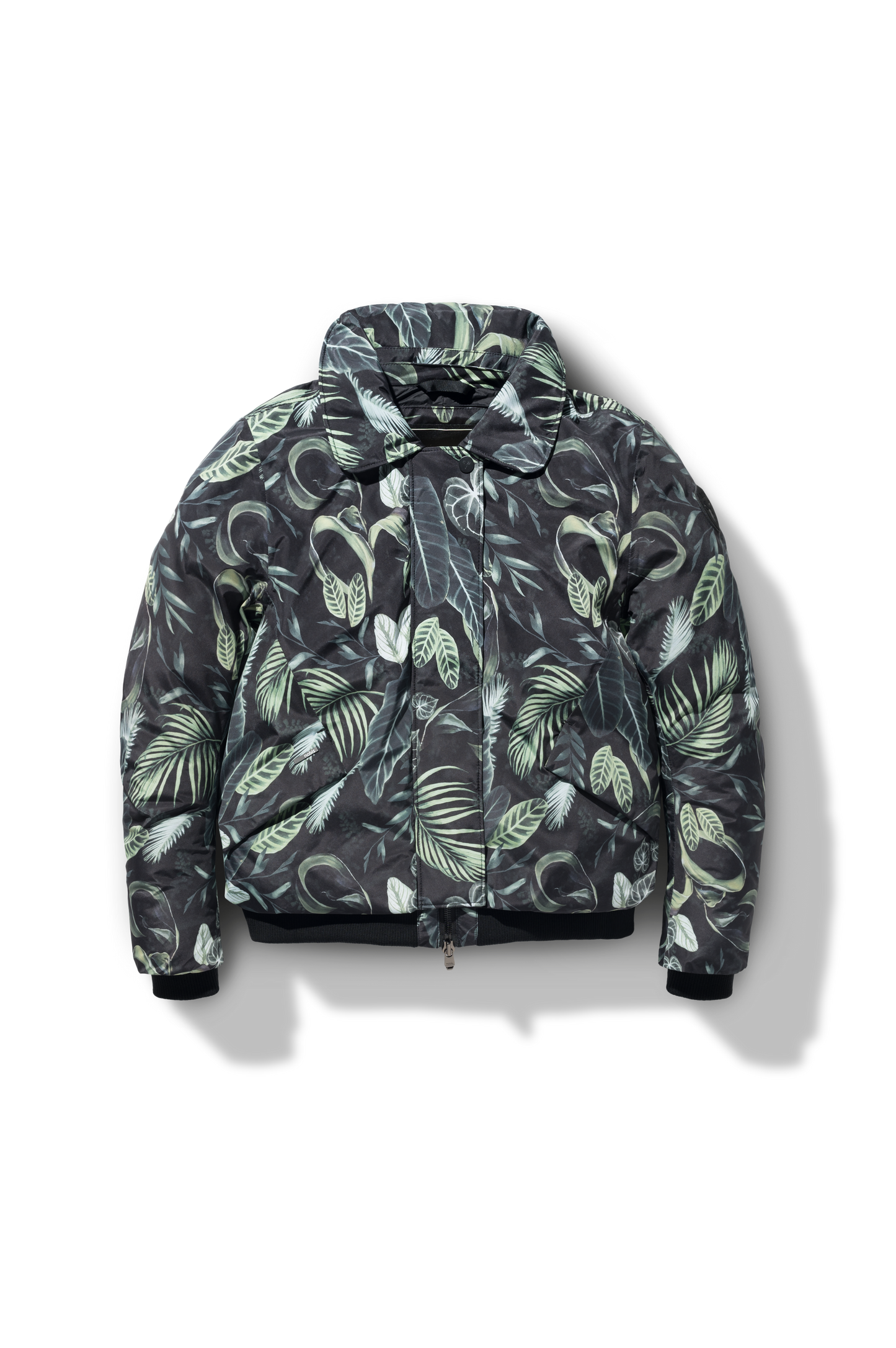 flat-lay-image Foliage